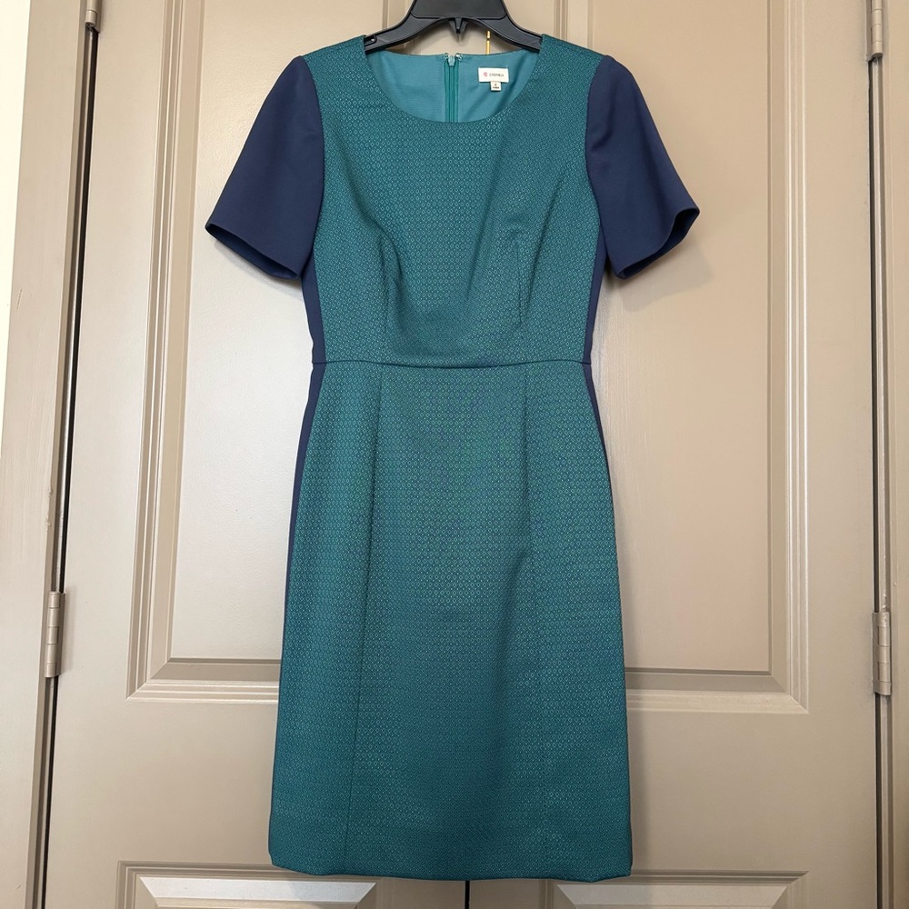 Cremieux Professional Dress